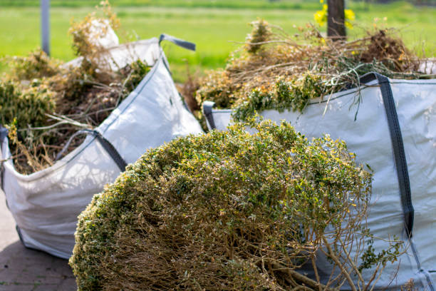 Best Same-Day Junk Removal Services  in Petersburg, IL